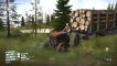 Cedar jars transport wood in mud forests (1)