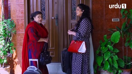 Dulha Bhai | Episode 36 | Comedy Play | Nabeel | Sophia Ahmed | Benita David | Urdu1 TV Dramas