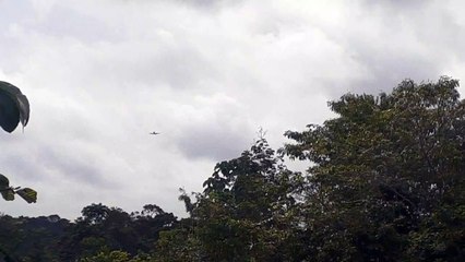 Boeing 737-800 PR-VBF na aproximação final antes de pousar em Manaus vindo de Belém do Pará