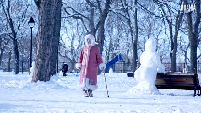 Un musée à ciel ouvert : visite dans les parcs après la tempête | Reportage