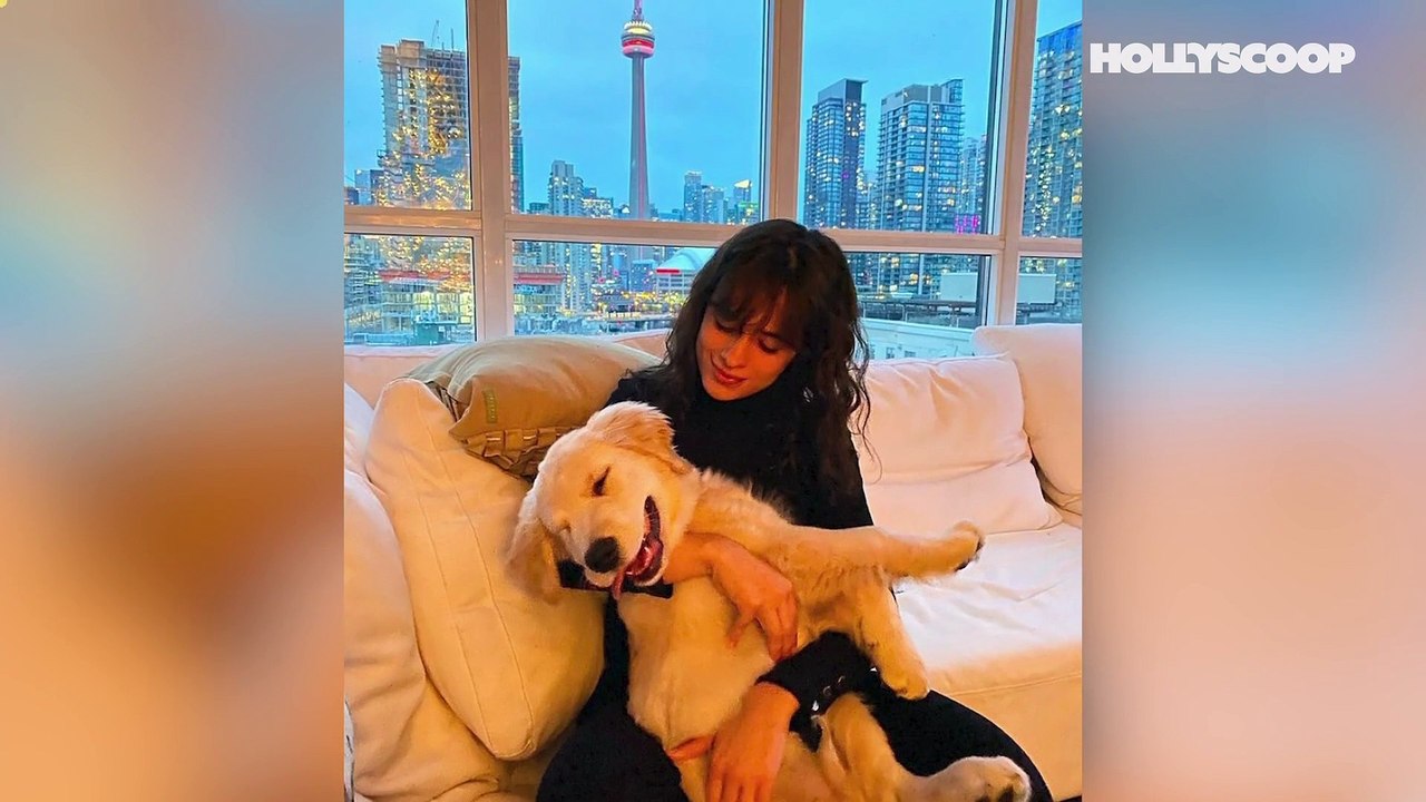 Shawn Mendes & Camila Cabello ENGAGED According To Fans!