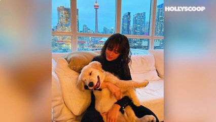 Shawn Mendes & Camila Cabello ENGAGED According To Fans!