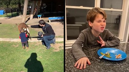 Remember, Billy Goats Head-Butt & Not A Fan Of Peas