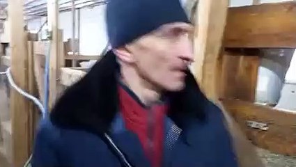 Comment vexer une autruche