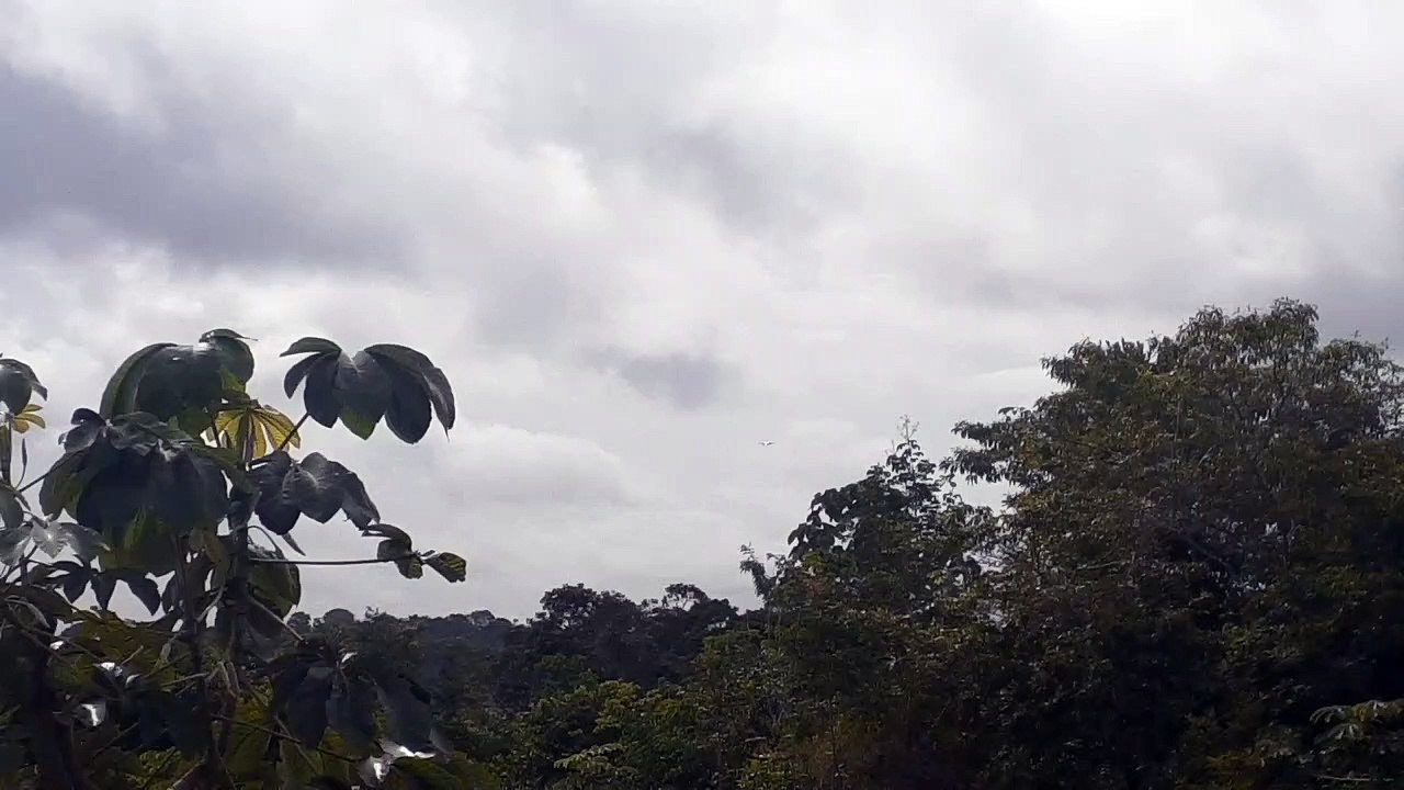 Embraer 195 PR-AUJ na aproximação final antes de pousar em Manaus vindo de Tefé