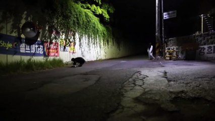 Best Korean Pranks That Got Me Rolling- Part 1