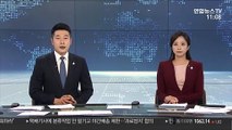 8세 딸에게 흉기 휘두른 친모 현행범 체포