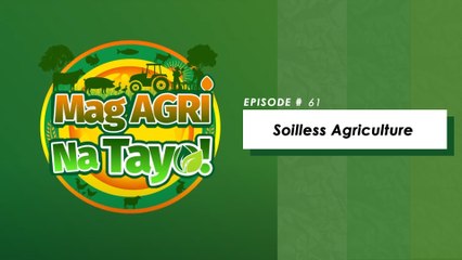 "SOILLESS AGRICULTURE" Mag-Agri Na Tayo! Ep-61
