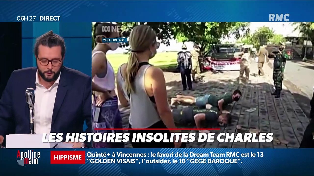 « Les 3 histoires de Charles Magnien » : Rappel à l'ordre des touristes qui ne portent pas de masques à Bali, une PME alsacienne rend accessible en ligne le magazine Playboy, et les hippopotames d'Escobar sont incontrôlables en Colombie - 21/01