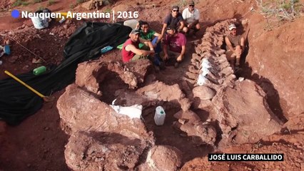 Dinosaur found in Argentina may be largest yet: scientists
