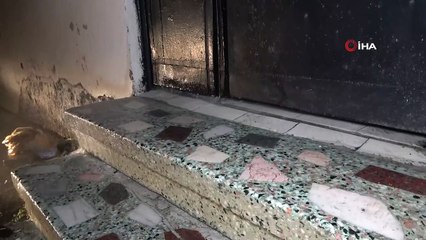 Metruk binada su boruları patladı, apartman suyla doldu taştı