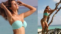 Disha Patani Bold Bikini Look Viral । दिशा पटानी के इस Hot अवतार के Fans हुए दीवाने । Boldsky