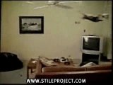 Funny Videos Cat In Ceiling Fan Video Dailymotion