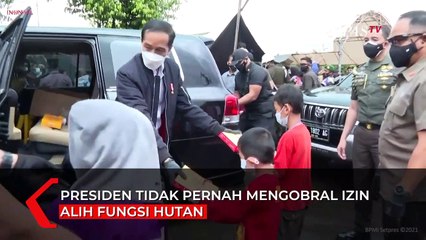 Jokowi Tak Pernah Obral Izin Kebun Sawit, Begini Penjelasan Moeldoko