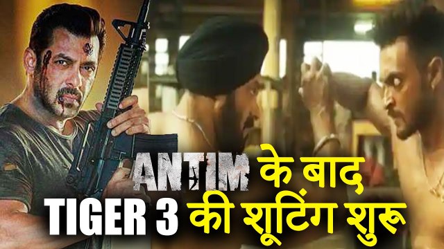Salman Khan To Start Shooting For Tiger 3 From March After Wrapping Up Antim The Final Truth