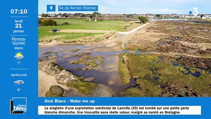 La matinale de France Bleu Breizh Izel du 21/01/2021