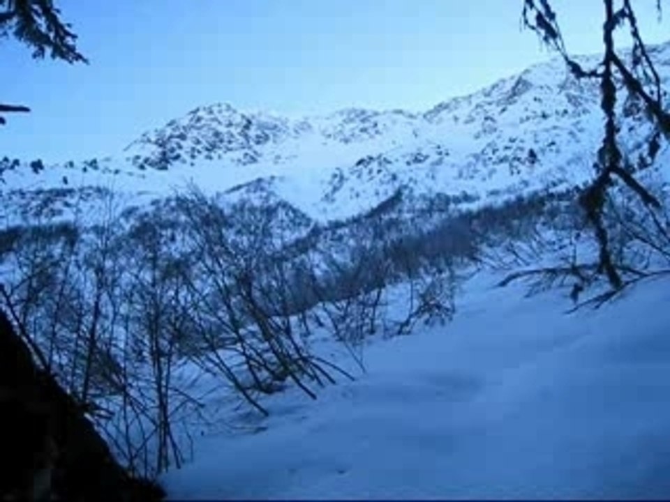 Bizard freeride 31012008