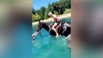 Videos De Risa _ Cosas interesantes sobre caballos y personas _ New Funny Video