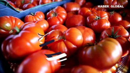 Rusya'nın domateste 'kota' kararı yüzleri güldürdü