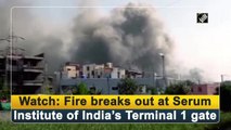 Watch: Fire breaks out at Serum Institute of India’s Terminal 1 gate