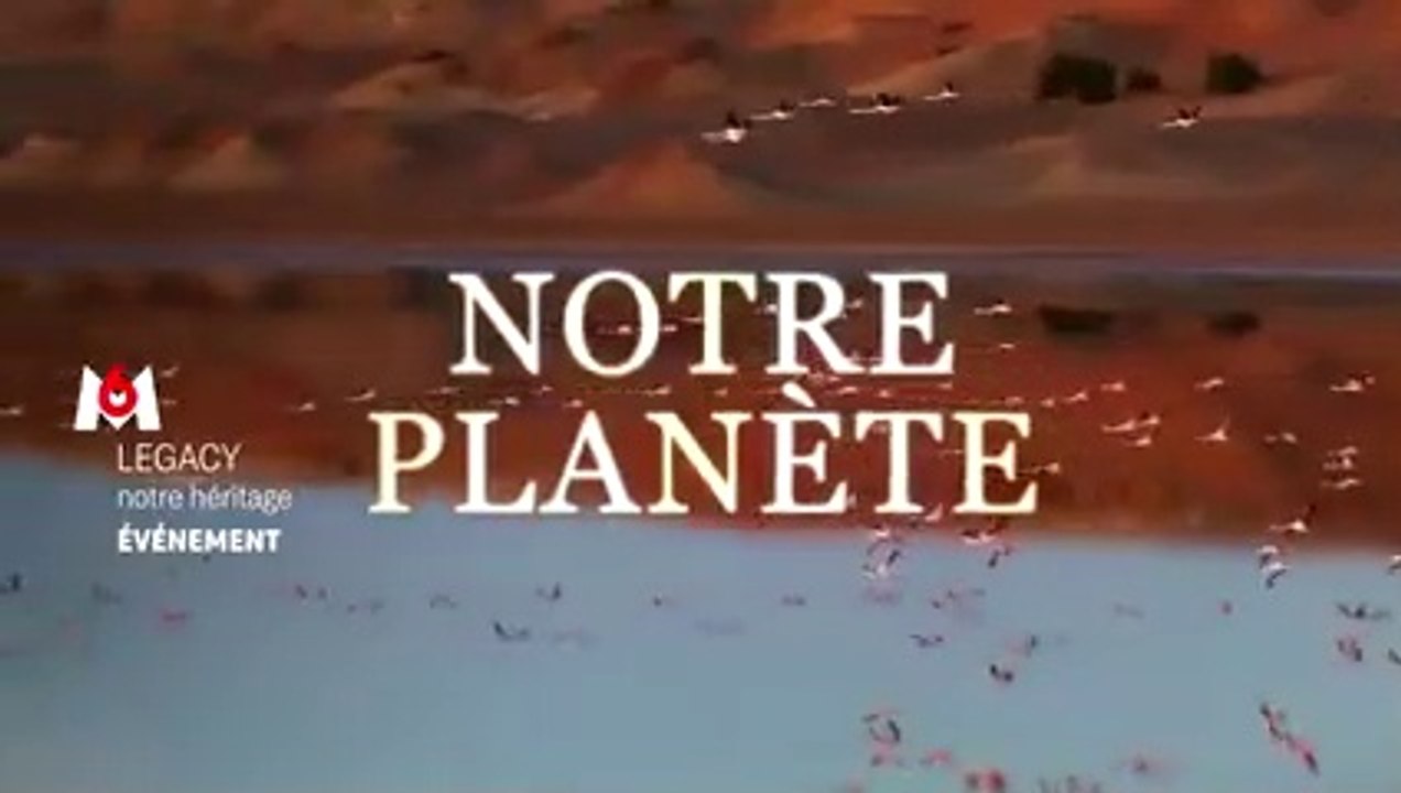 "Legacy, notre héritage" : Le film événement de Yann Arthus-Bertrand diffusé le 26 janvier sur M6