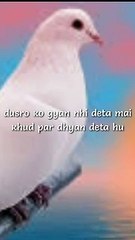 BEST MOTIVATIONAL VIDEO EVER | #MOTIVATION