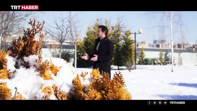 Sokak hayvanlarına yuva olmak: Kedi evi nasıl yapılır?