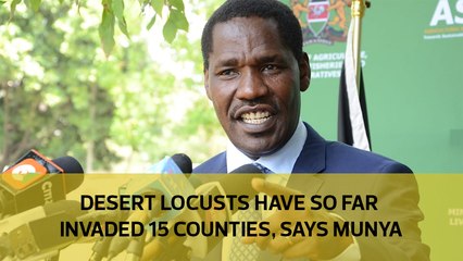 Desert locusts have so far invaded 15 Counties, says Munya