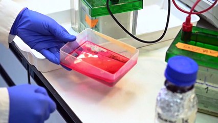 2021, el año de las vacunas españolas contra la covid-19