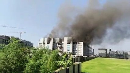 Incêndio na maior fábrica de vacinas do mundo