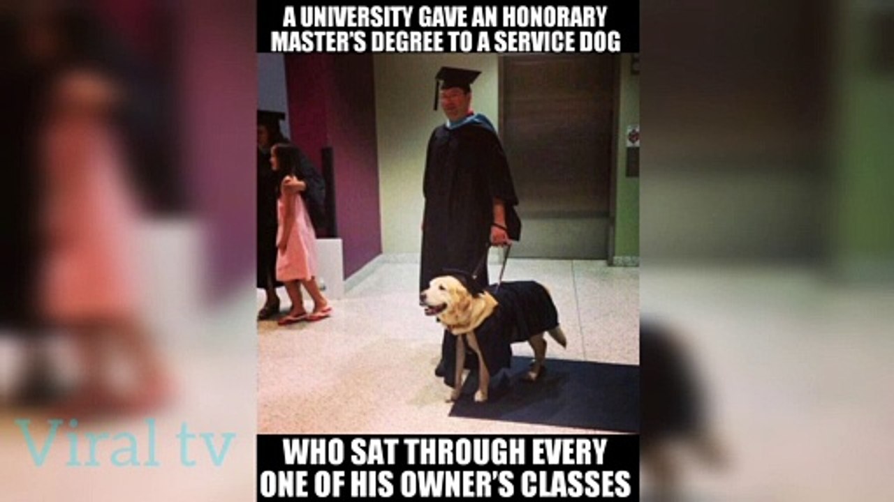 funny memes