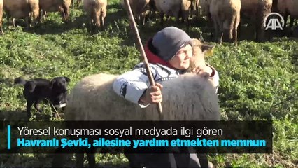Yöresel konuşması sosyal medyada ilgi gören Havranlı Şevki, ailesine yardım etmekten memnun