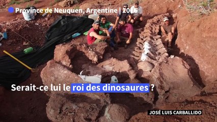 Le plus grand dinausore jamais découvert mis au jour en Argentine ?