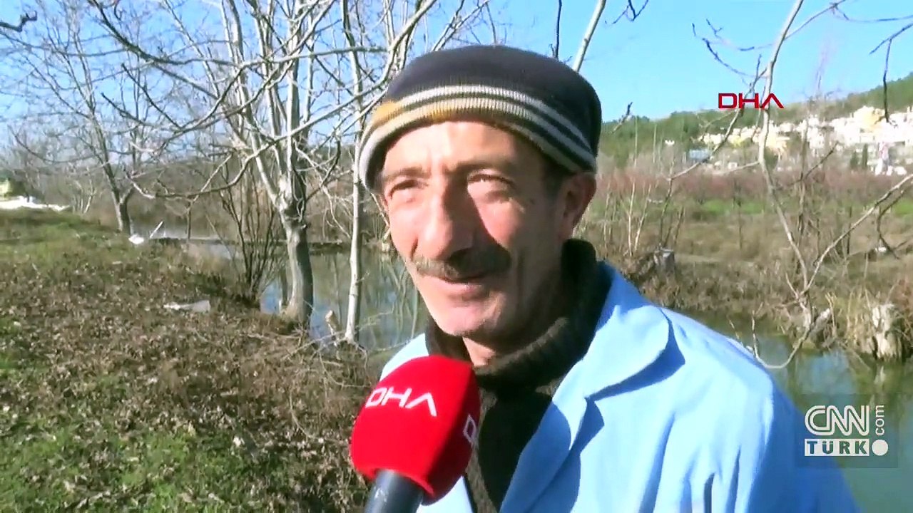 Su maymunları kendini Edirne'de buldu