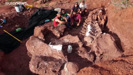 شاهد: اكتشاف بقايا الديناصور الأكبر على الأرض في الأرجنتين