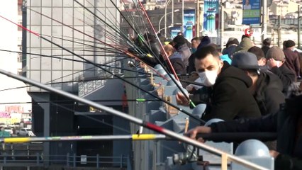 Galata Köprüsü’ndeki denetimde küçük balıklar denize döküldü