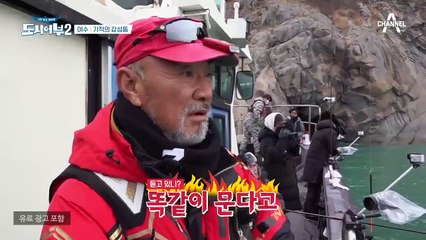 #이럴 때 #비까지 와 #처량 끝판왕, 감성돔에 돌아버린 비정상(?)