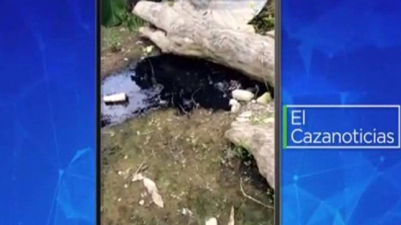 El Cazanoticias: hicieron una alcantarilla que está botando aguas residuales en Carepa, Antioquia