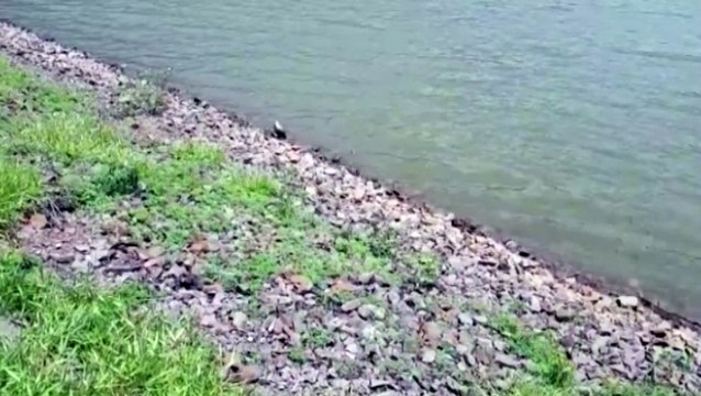 Grande quantidade de chuva provoca abertura de buracos nas ruas e elevam o risco de acidentes