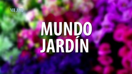 Mundo jardín | Conoce las herramientas adecuadas para entrar al mundo de las plantas  - Nex Panamá