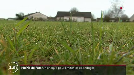 Environnement : une mairie offre une prime à un agriculteur pour qu’il n’utilise plus de pesticides