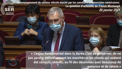 Franck Montaugé : Question d'actualité du 20 janvier 2021
