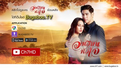 วงเวียนหัวใจ ย้อนหลัง | Ch7HD