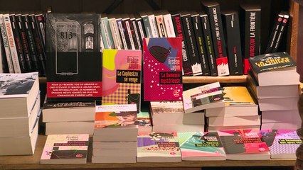 Netflix show 'Lupin' shines new light on French crime fiction hero