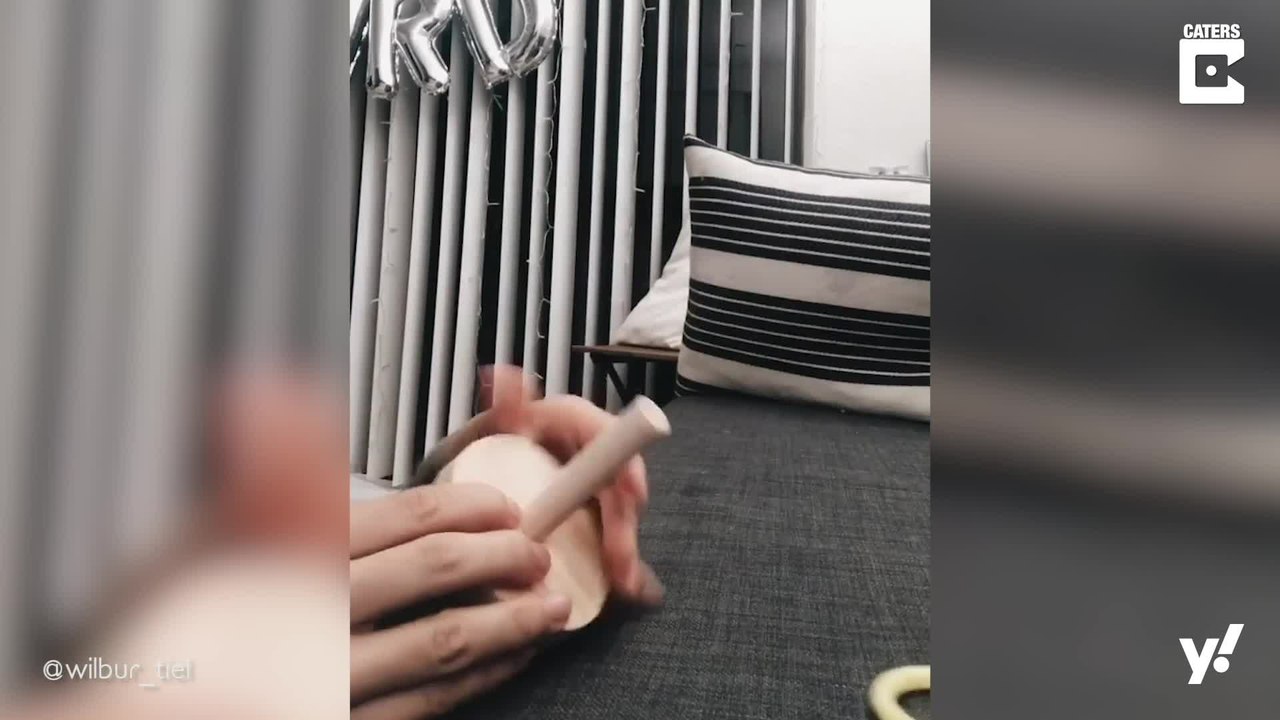 Wilbur verzaubert uns mit seinen Tricks