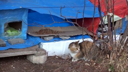 Soğuk Havada Yürekleri Isıtan Görüntüler