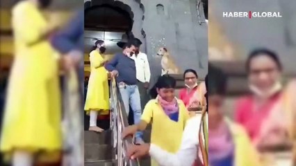 Hindistan'da tapınaktan çıkanları patisiyle 'zorla' kutsadı