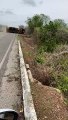 Caminhão tomba em rodovia PB-391 entre Sousa e Uiraúna e deixa uma pessoa ferida