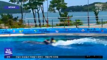 [뉴스터치] 수족관 돌고래 타기 체험 전면 금지