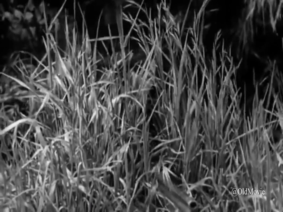 Stories of the Century Season 1 Episode 15 Chief Crazy Horse